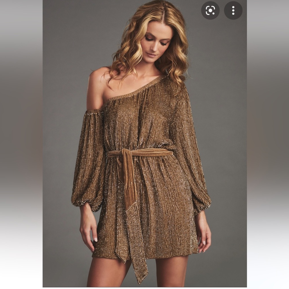 NWT Retrofete Giselle dress in taupe sz lg